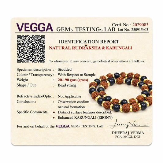 Silver Plated Divya Rudraksha Karungali Mala - With Lab Test Certificate from Govt of India
